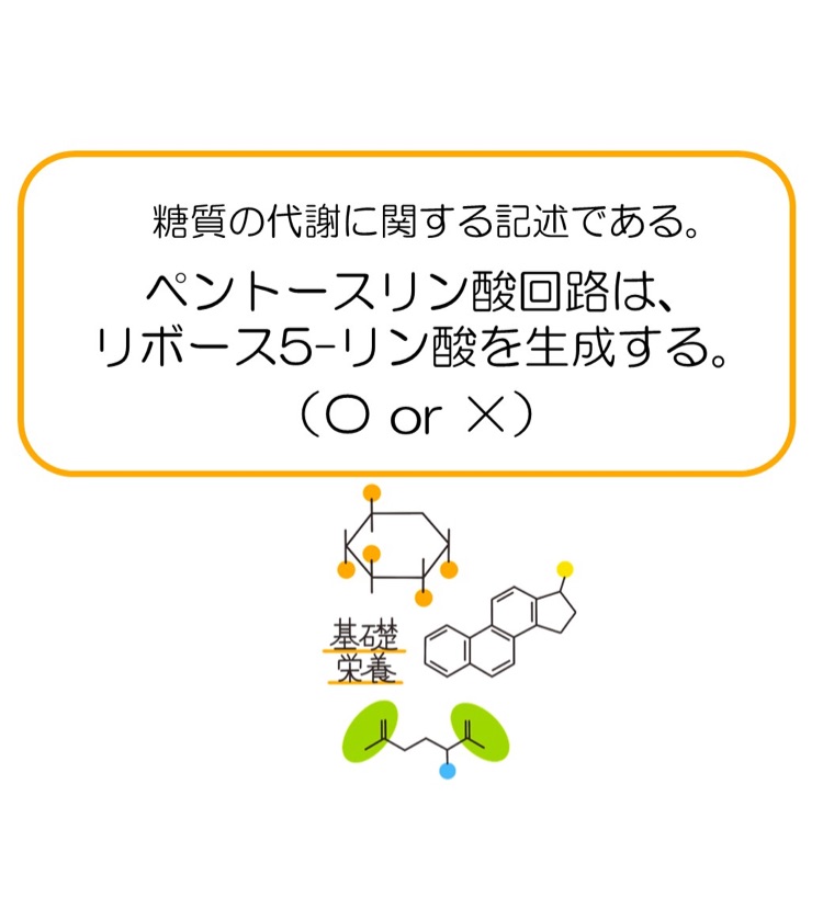 第34回70番の4 ペントースリン酸回路 管理栄養士に合格するための Marcyラジオ Stand Fm