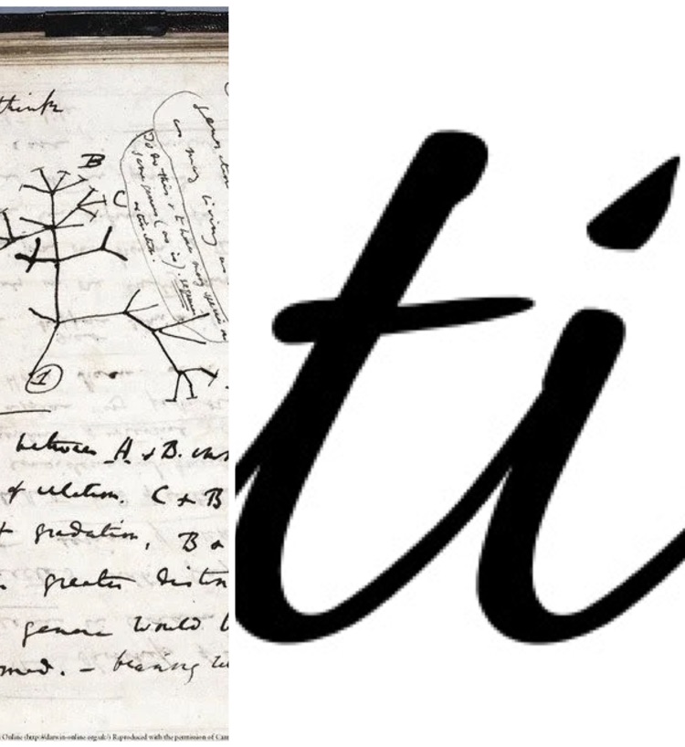 ダーウィンの従兄弟 ティーアイ Note