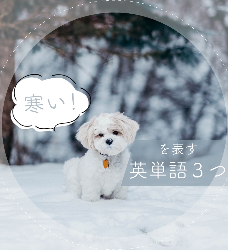 寒い を表す英語 ぴか英語 寒い を表す英語 ぴか英語