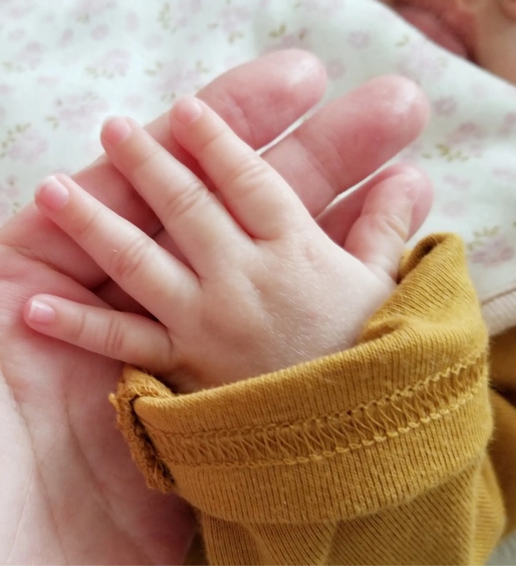 人気の抱っこ紐レビュー エルゴベビー Adaptクールエア Sunny