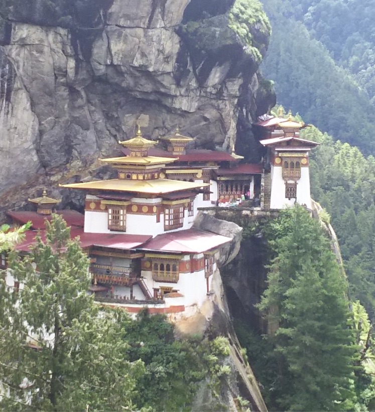 長屋の花見と ブータン王国 さや香 落語ジャーナル Note