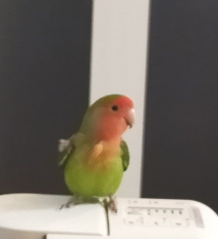 232 毎日更新 ミチコの朝のゆるスピチャンネル Live 毎日更新 ミチコの癒やしのゆるスピチャンネル Stand Fm