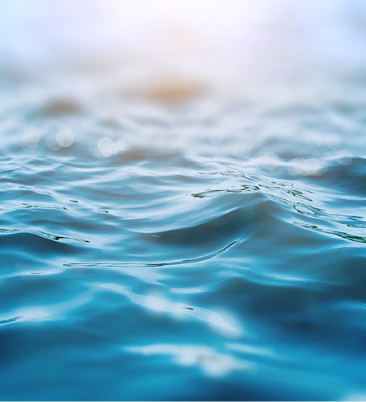 英語で禅 Japanesezen Little Me りとるみー Stand Fm