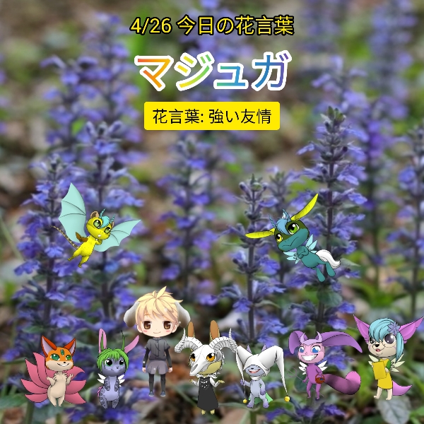 4 26 今日の花言葉 アジュガ 西洋十二単 Ka Yanラジオ Stand Fm