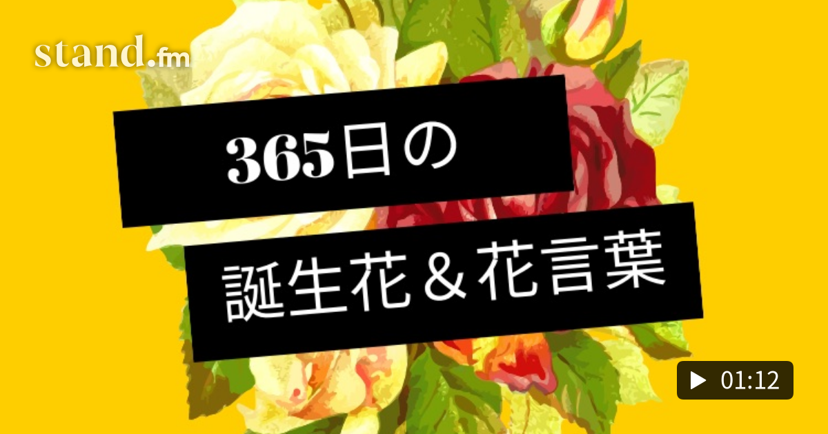 105 365日の誕生花 花言葉 12月27日 よっちゃん社長の花を持たせるラジオ Stand Fm
