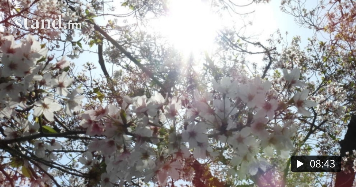 ベイマックスのハッピーライド Happy Song 歌詞和訳解説 Lucy S Language Lab Stand Fm