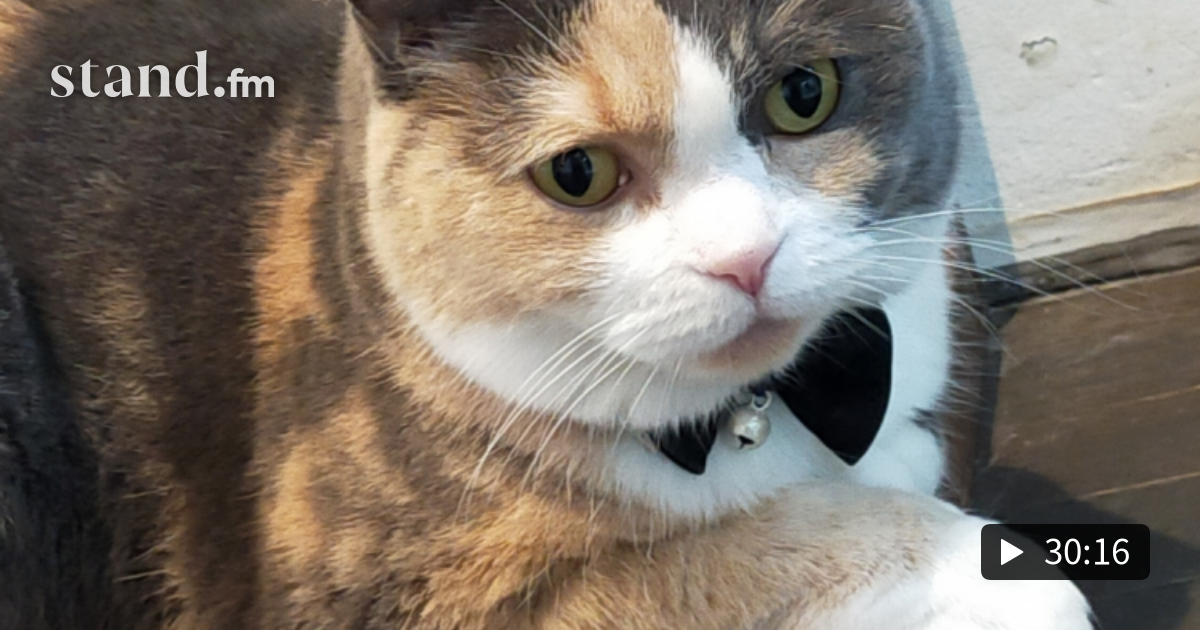 248 毎日更新 ミチコの朝のゆるスピチャンネル Live 毎日更新 ミチコの癒やしのゆるスピチャンネル Stand Fm