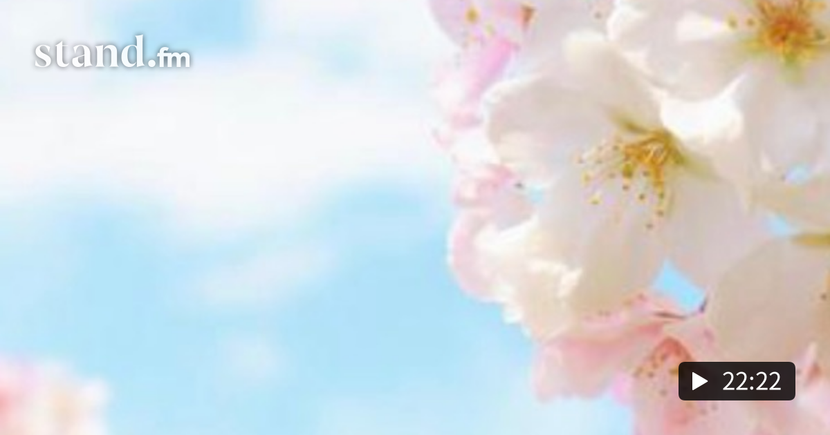 ママ友って結局なんだ 八方美人でみんなに愛想振りまいて来た私が今思うこと 妄想えみぃ屋 ブログ 笑えればそれでまる ママ友って結局なんだ 八方美人でみんなに愛想振りまいて来た私が今思うこと 妄想えみぃ屋 ブログ 笑えればそれでまる