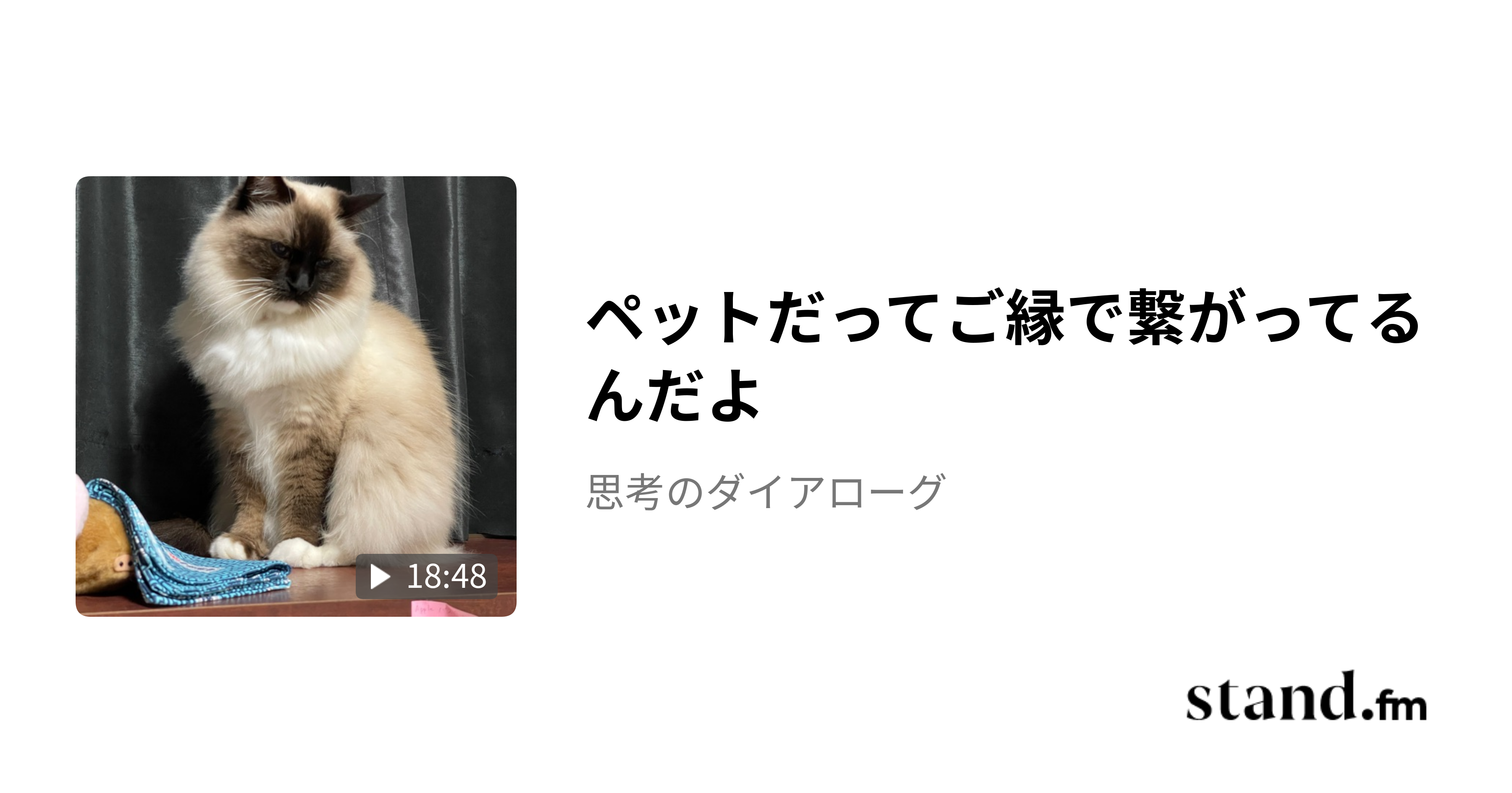 ペットだってご縁で繋がってるんだよ - 思考のダイアローグ | stand.fm