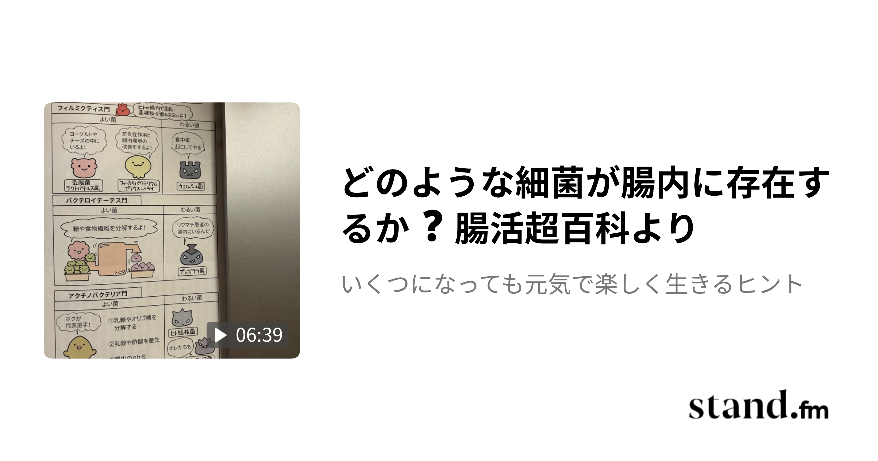 どのような細菌が腸内に存在するか 腸活超百科より いくつになっても元気で楽しく生きるヒント stand.fm