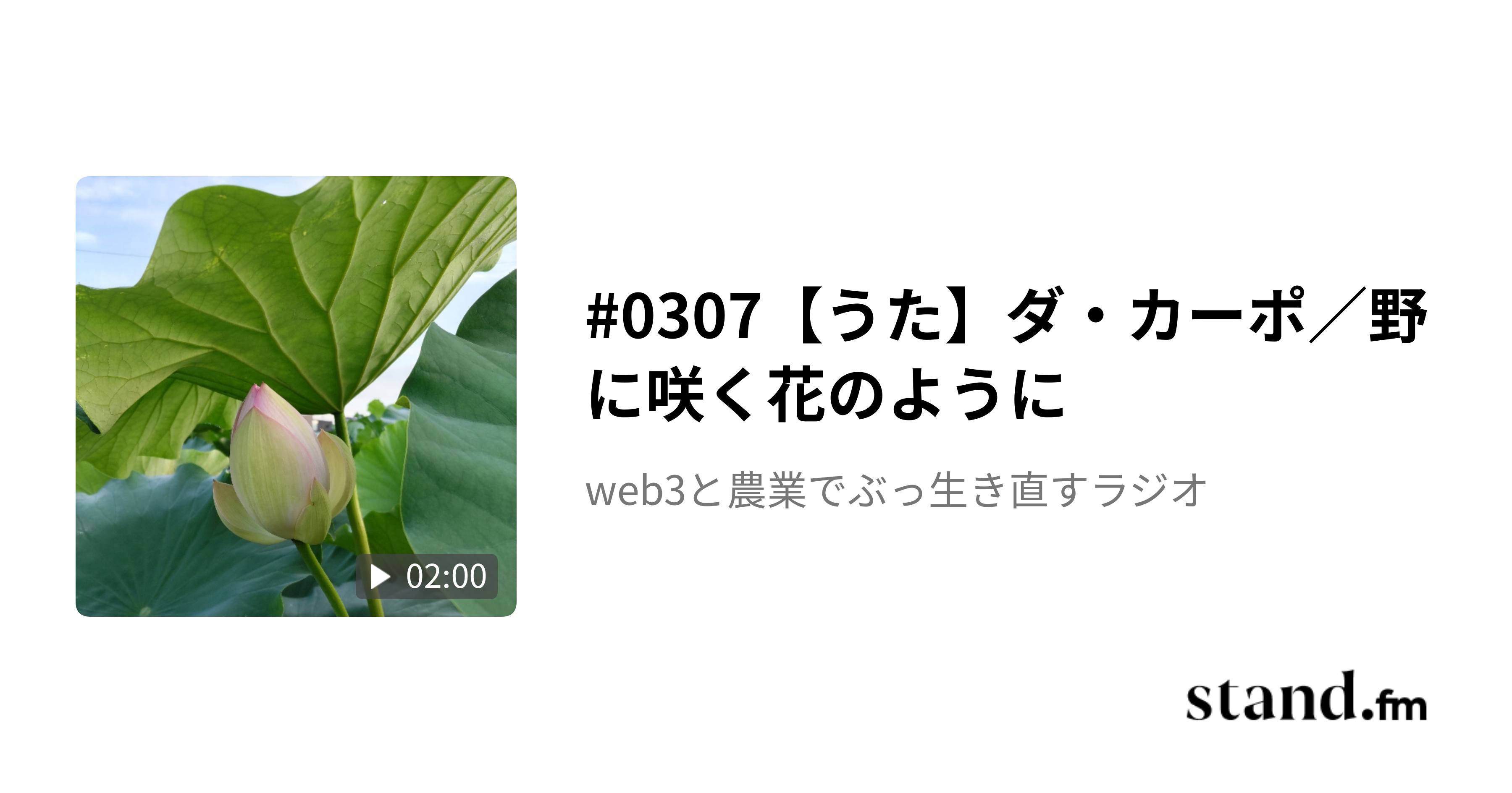 thirdweb脆弱性問題／サヨナラ青色申告 - web3と農業でぶっ生き