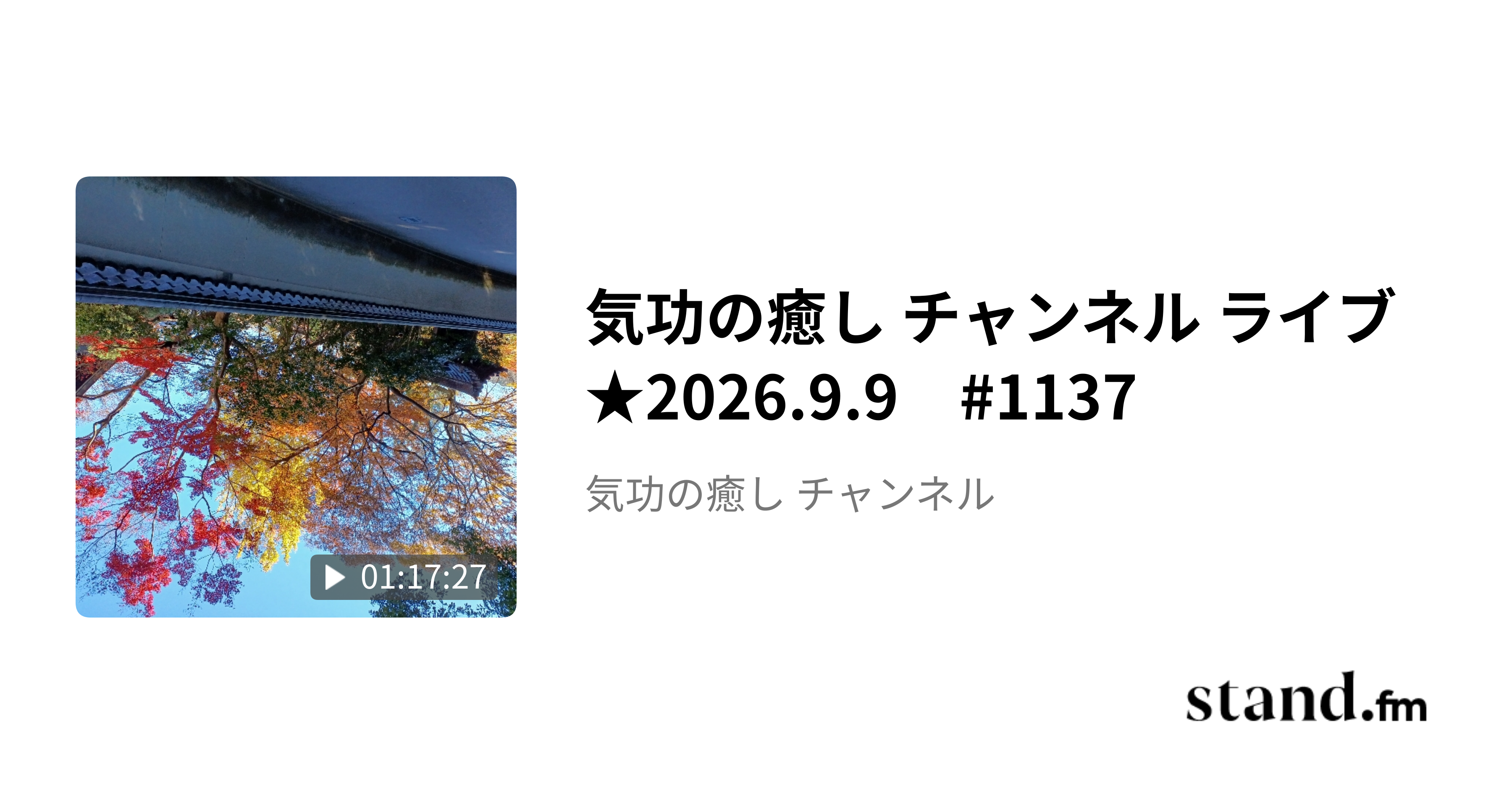 気功の癒し チャンネル ライブ☆2026.9.14 #1143 - 気功の癒し