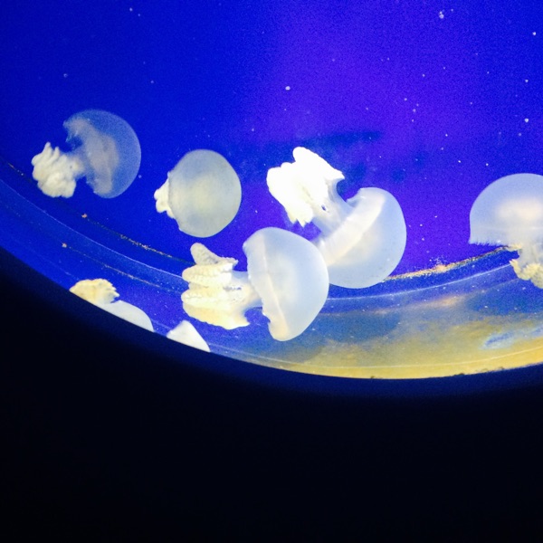 海月ラジオまったり5分間瞑想 Stand Fm