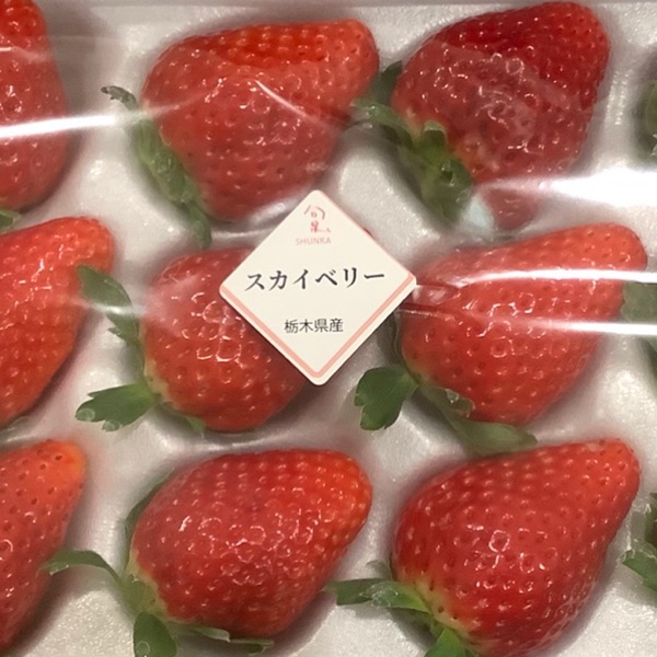 こえのおとvol 5 うた とんでったバナナ おりちゃ Note