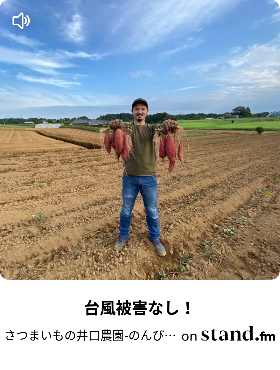さつまいもの井口農園 のんびりラジオ Stand Fm