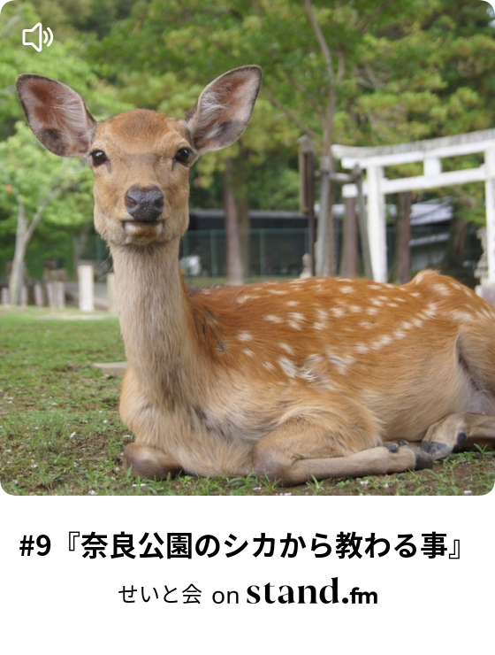 せいと会 Stand Fm せいと会 Stand Fm