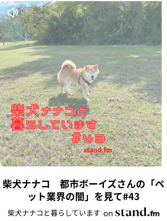 柴犬ナナコと暮らしています Stand Fm