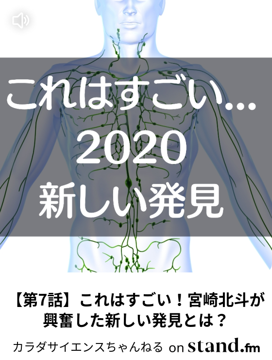 第2話 英語がペラペラに 上級者ほど右脳を使っている事実 カラダサイエンスちゃんねる Stand Fm