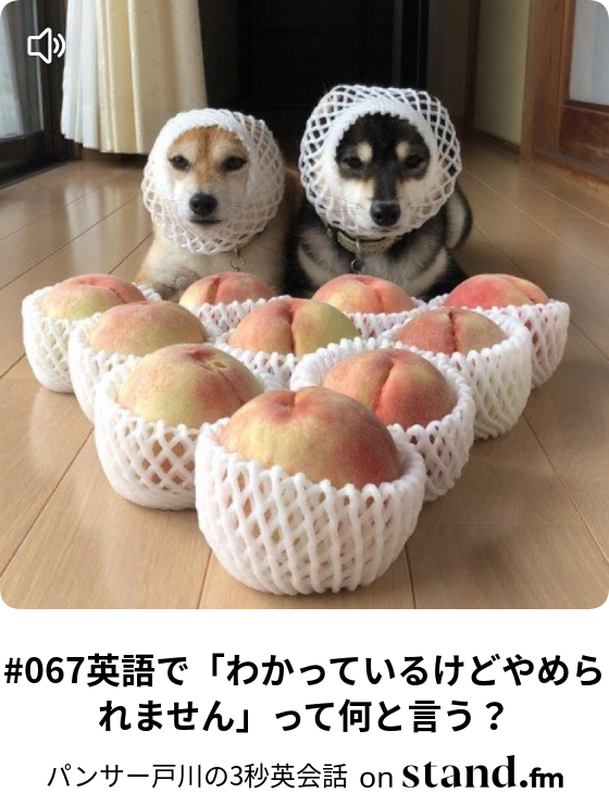 パンサー戸川の3秒英会話 Stand Fm