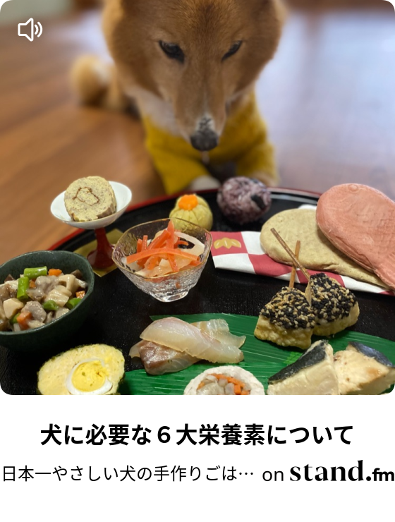 日本一やさしい犬の手作りごはんと時々しつけ Stand Fm