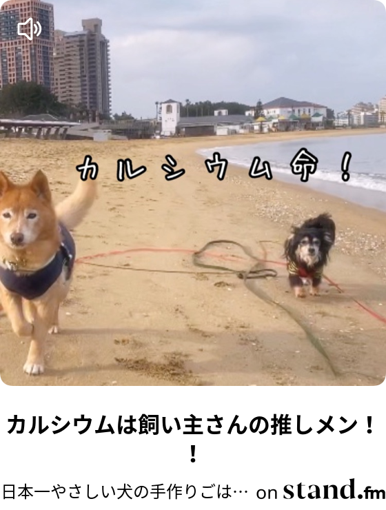 日本一やさしい犬の手作りごはんと時々しつけ Stand Fm