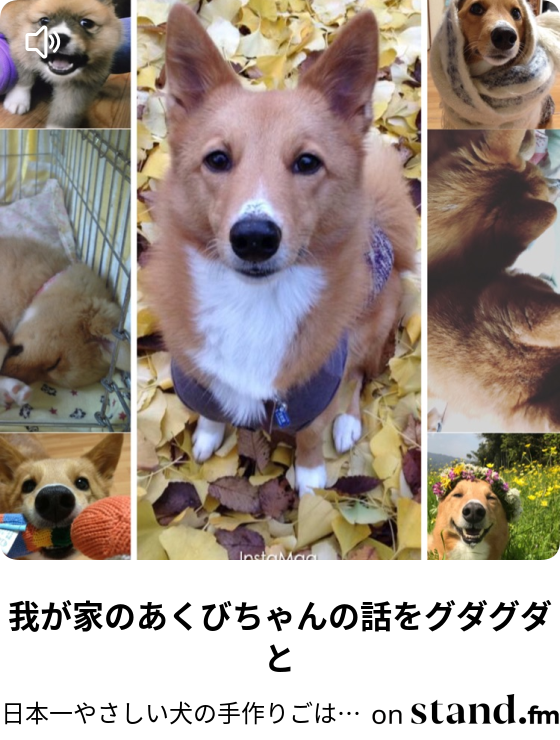 日本一やさしい犬の手作りごはんと時々しつけ Stand Fm
