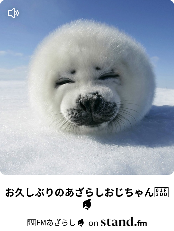 Fmあざらし Stand Fm