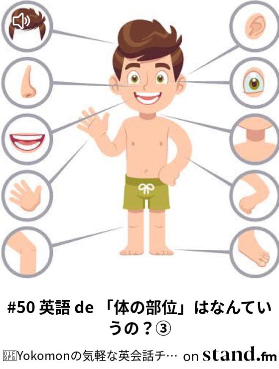 50 英語 De 体の部位 はなんていうの Yokomonの気軽な英会話チャンネル Take It Easy Stand Fm