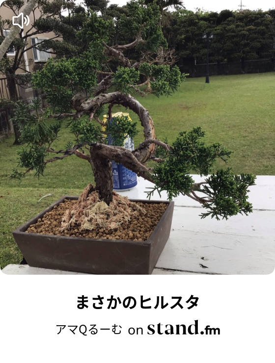 アマqるーむ Stand Fm