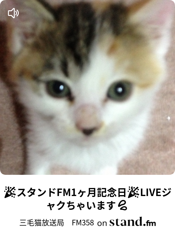 三毛猫放送局 Fm358 Stand Fm