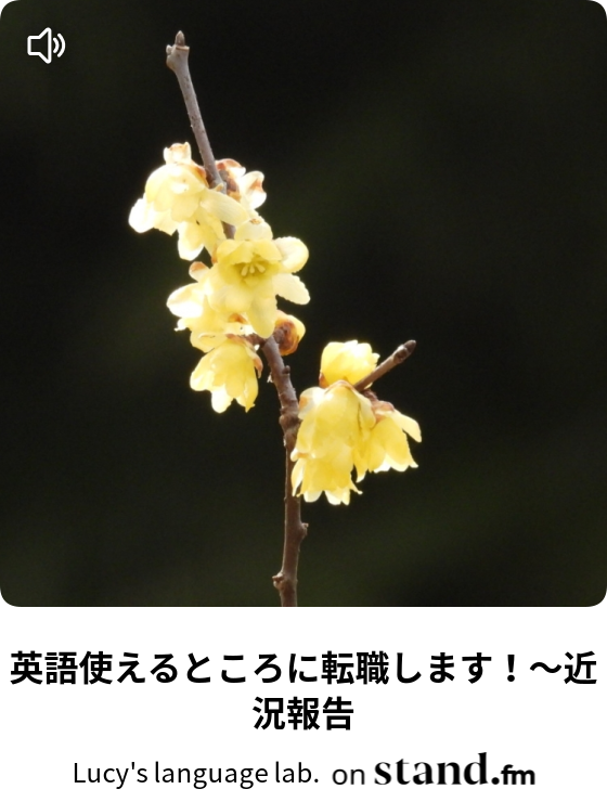 ベイマックスのハッピーライド Happy Song 歌詞和訳解説 Lucy S Language Lab Stand Fm