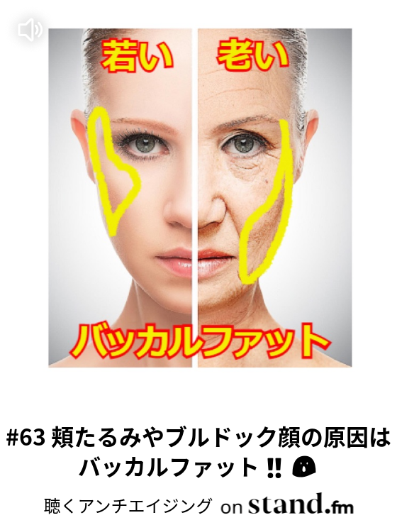 63 頬たるみやブルドック顔の原因はバッカルファット 聴くアンチエイジング Stand Fm