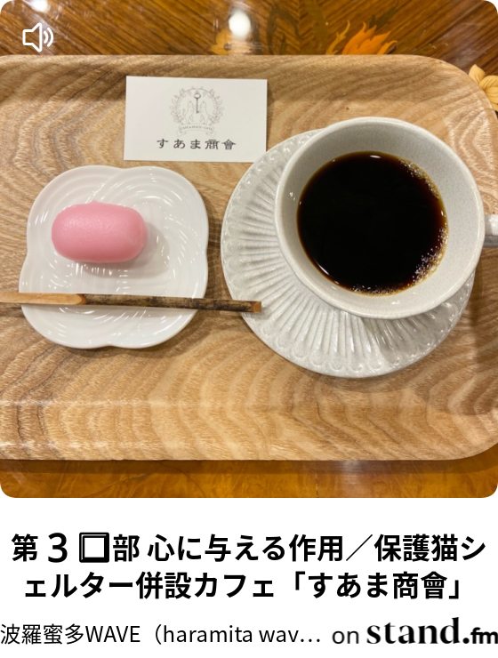 波羅蜜多wave Haramita Wave Stand Fm