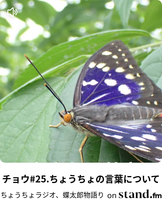 チョウ 25 ちょうちょの言葉について ちょうちょラジオ 蝶太郎物語り Stand Fm