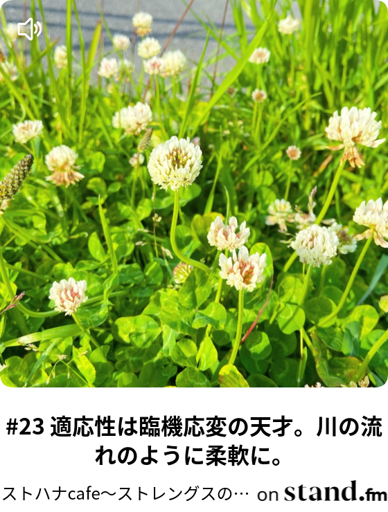 19 マルチポテンシャライト 複数のポテンシャルを持った人 のtedのお話 ストハナcafe ストレングスのお話タイム Stand Fm