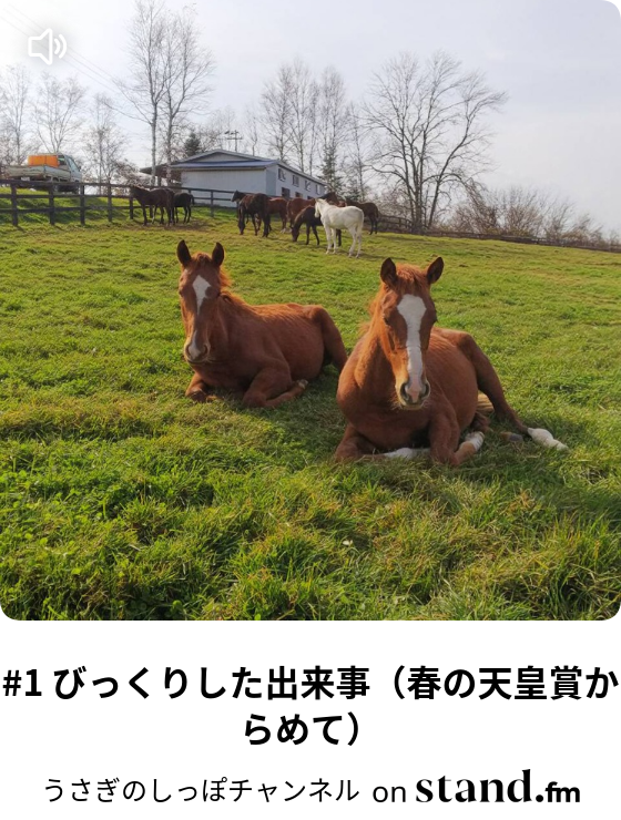 うさぎのしっぽチャンネル Stand Fm