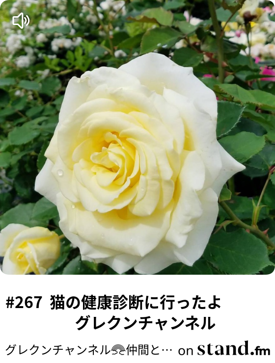 267 猫の健康診断に行ったよ グレクンチャンネル グレクンチャンネル 仲間とともに Stand Fm