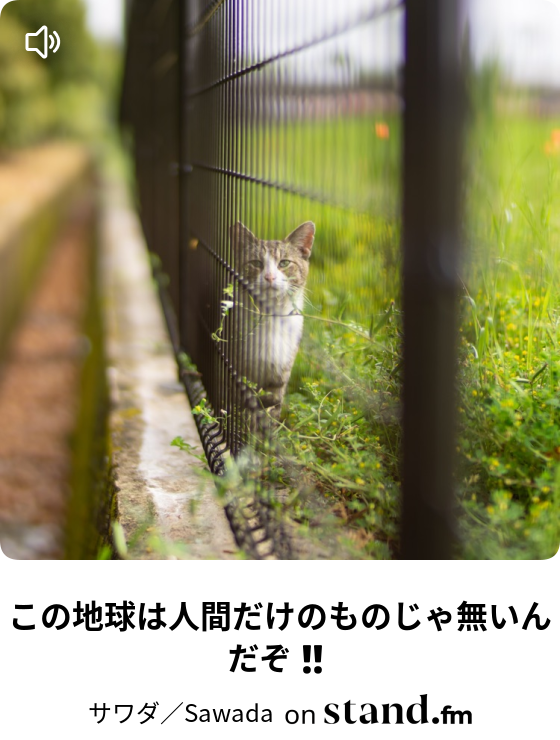 サワダ Sawada Stand Fm
