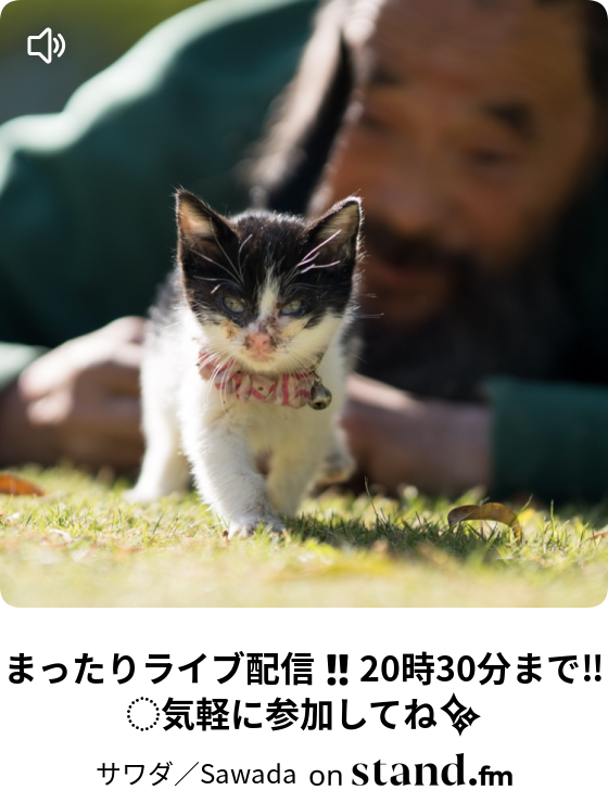 サワダ Sawada Stand Fm