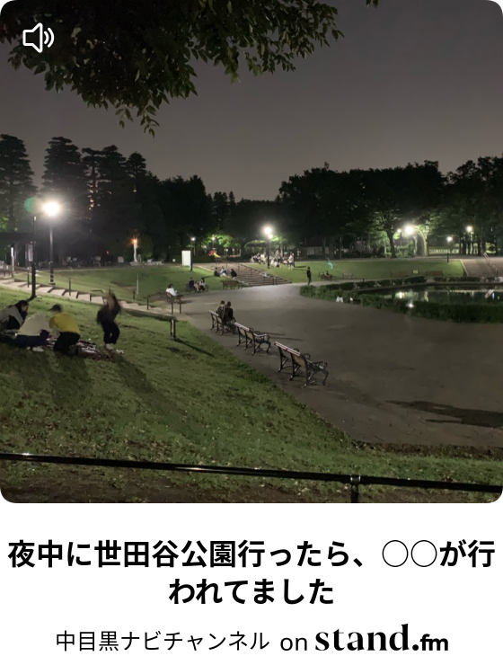 夜中に世田谷公園行ったら が行われてました 中目黒ナビチャンネル Stand Fm