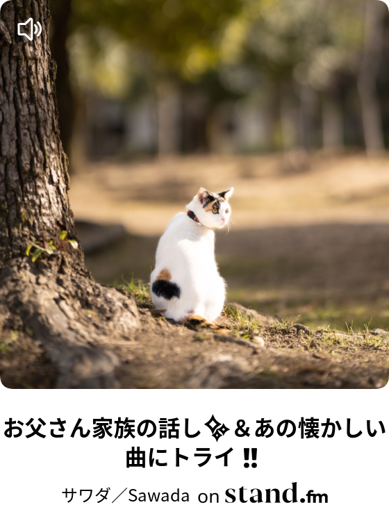 サワダ Sawada Stand Fm