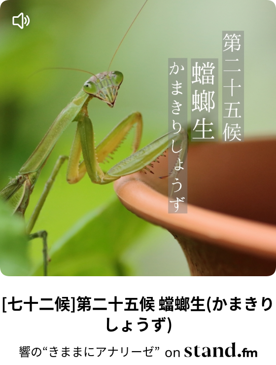 七十二候 第二十五候 蟷螂生 かまきりしょうず 響の きままにアナリーゼ Stand Fm
