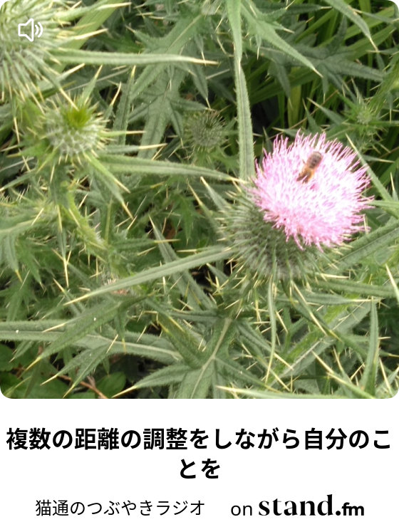 過去の記録をひっくり返す あるタクシードライバー 猫通のつぶやきラジオ Stand Fm