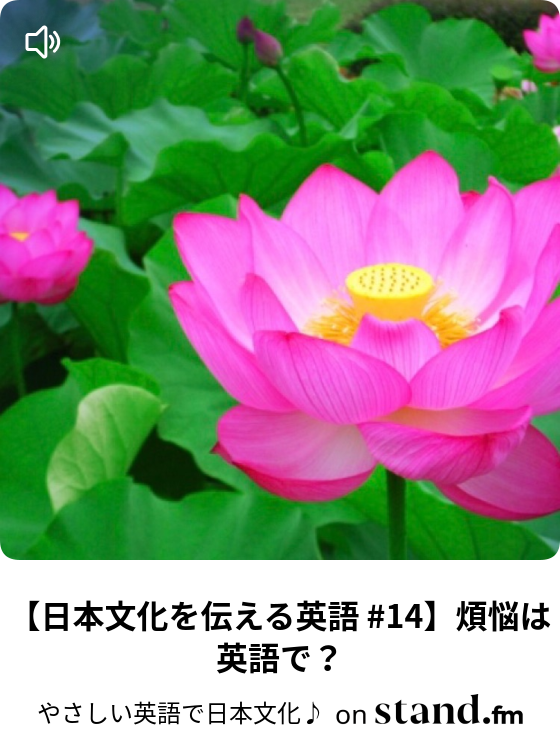 日本文化を伝える英語 9 出汁やうま味は英語で やさしい英語で日本文化 Stand Fm