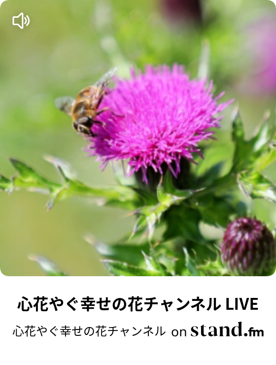 心花やぐ幸せの花チャンネル Live 心花やぐ幸せの花チャンネル Stand Fm