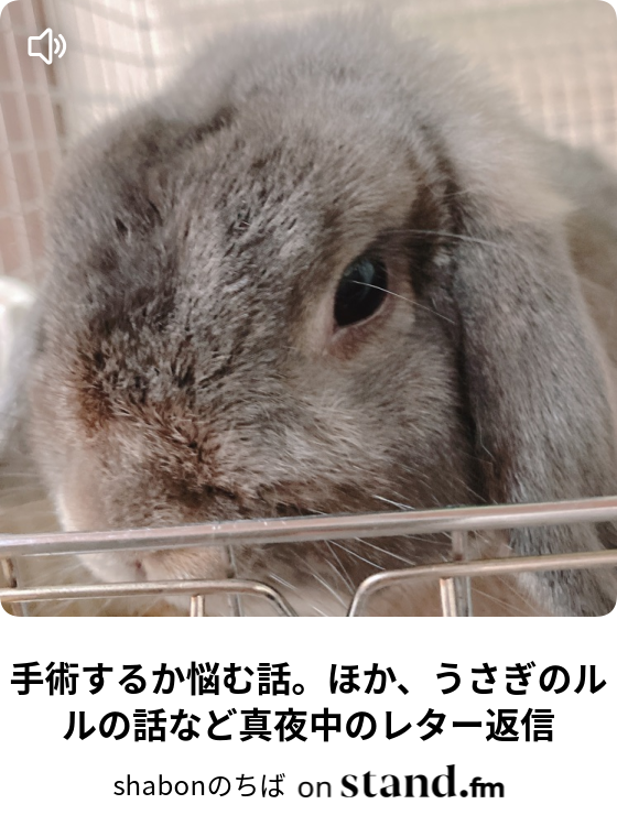 これって非常識 イライラの対処法など真夜中のレター返信 Shabonのちば Stand Fm これって非常識 イライラの対処法など真夜中のレター返信 Shabonのちば Stand Fm