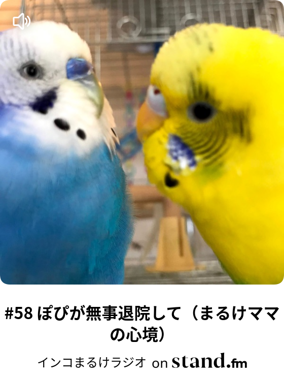 インコまるけラジオ Stand Fm