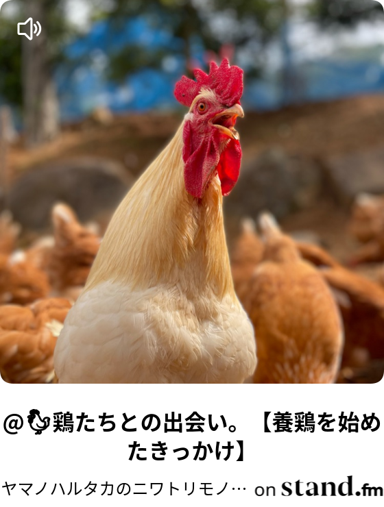 ニワトリモノガタリ Stand Fm