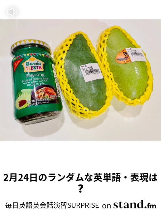 2月25日のランダムな英単語 表現は 毎日英語英会話演習surprise Stand Fm